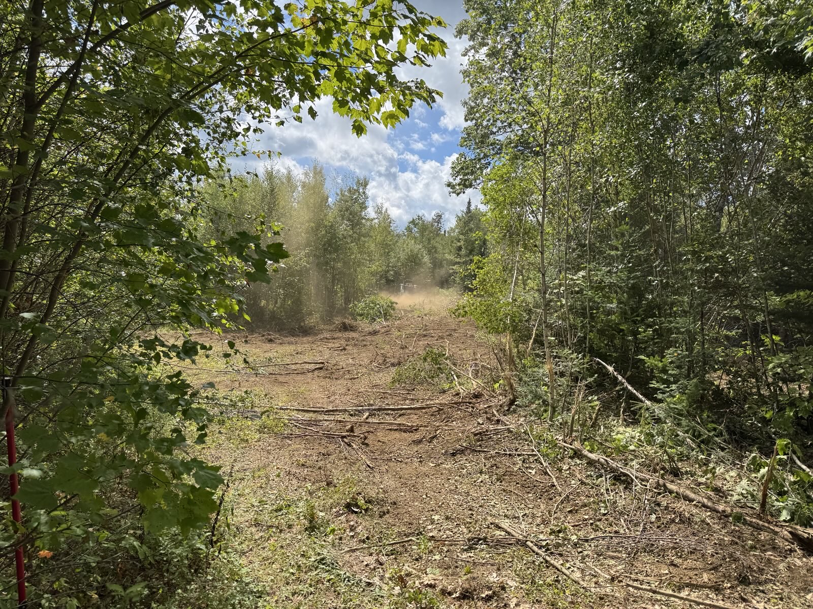 Clearing space for first paddock